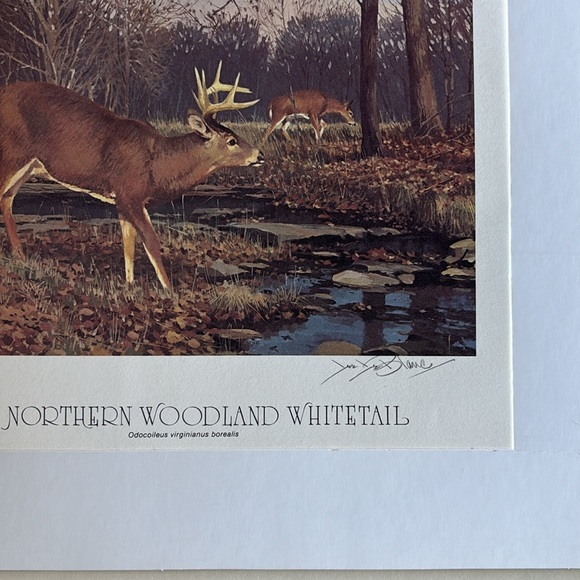 Lee Le Blanc 1981 Northern Woodland Whitetail Stamp, Print, Signed, Numbered - Picture 12 of 12